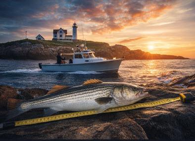 Janx Striper Tournament in York, Maine